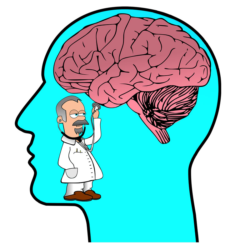 brain-image-scan