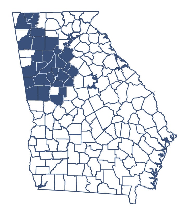Georgia State map