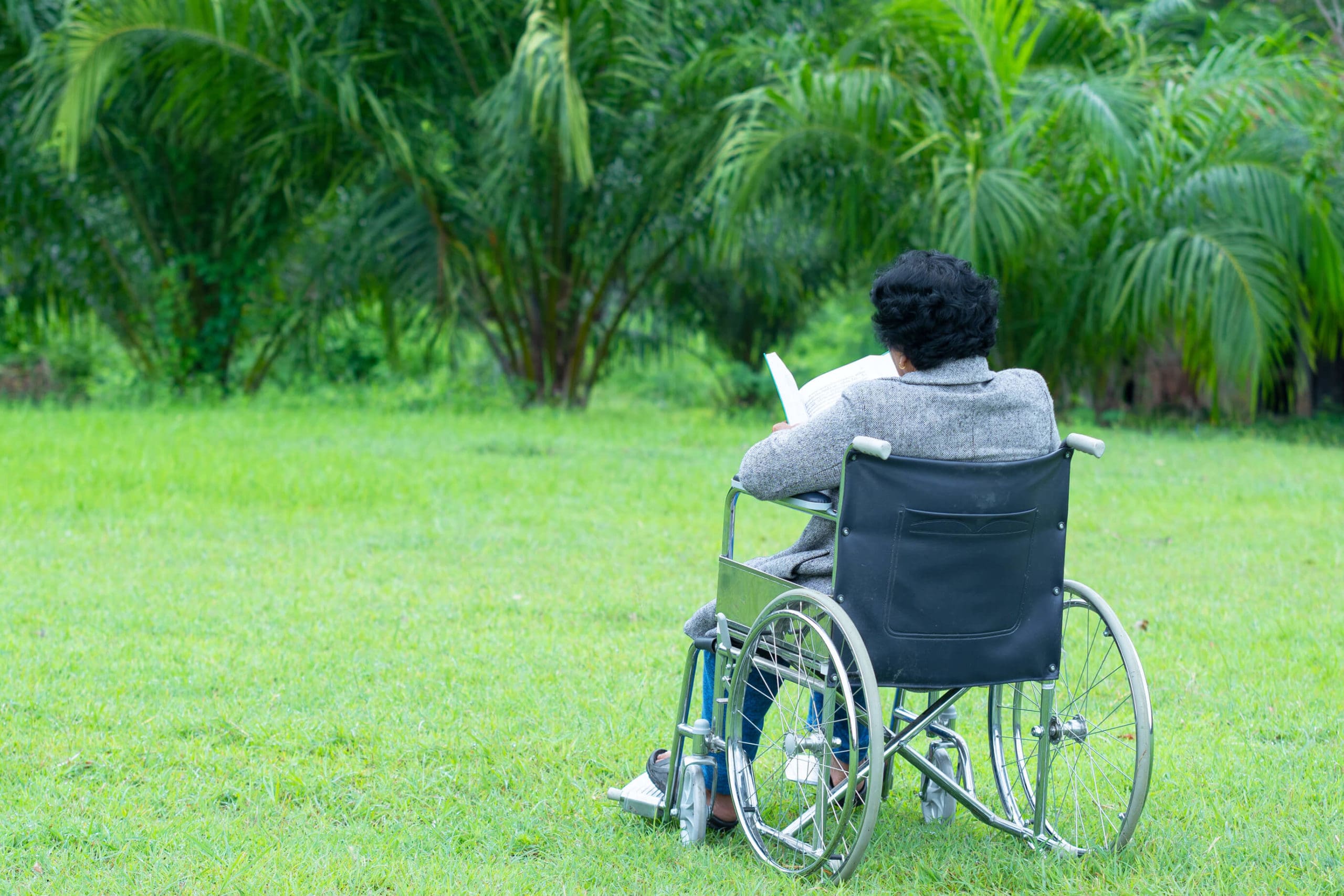 person-in-wheelchair