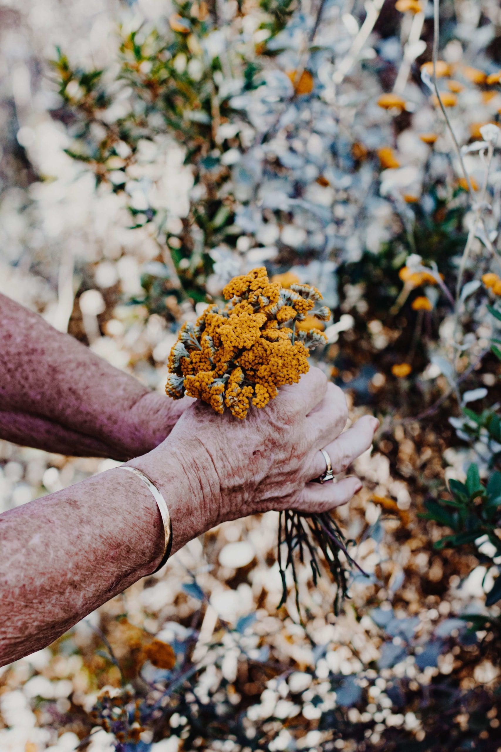 flowers in hands